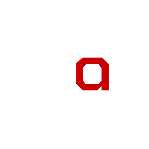 Snag Market